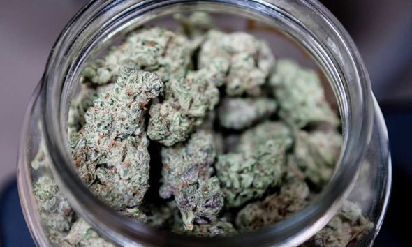 Microdosing Weed