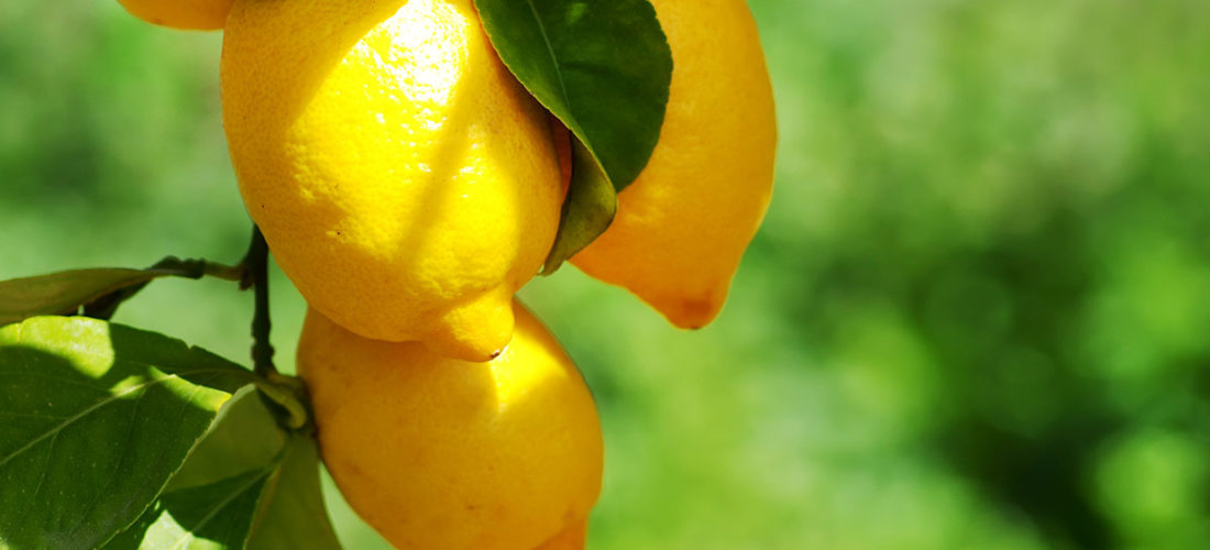 Limonene