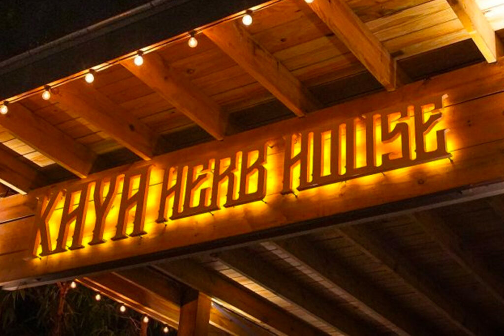 Vibes X Kaya Herb House Collab Launches in Jamaica