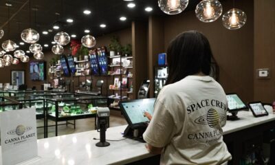 Person using a tablet at a cannabis dispensary counter