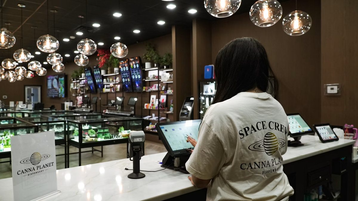 Person using a tablet at a cannabis dispensary counter