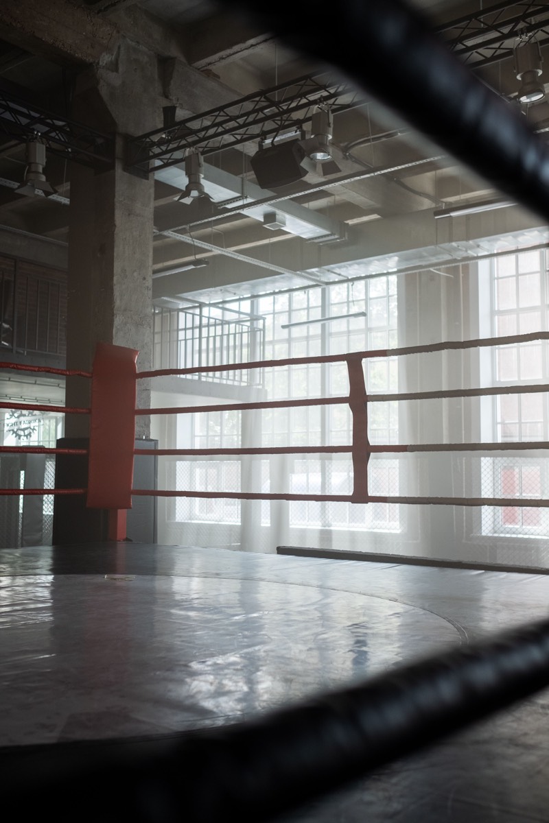 Empty boxing ring in a bright gym with tall windows