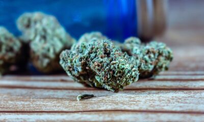 Dried cannabis flowers on a wooden surface beside a blue container