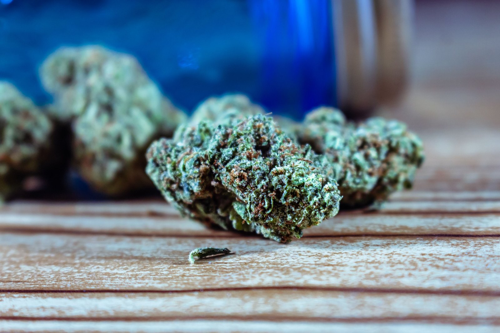 Dried cannabis flowers on a wooden surface beside a blue container
