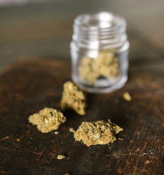 Dried cannabis flowers beside a glass jar
