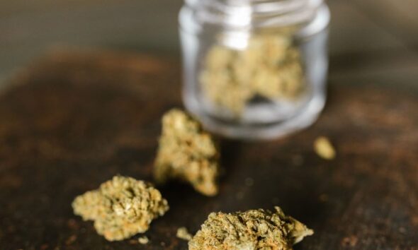 Dried cannabis flowers beside a glass jar