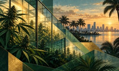 Conceptual illustration of cannabis greenhouse panels, palms and a distant Florida skyline.