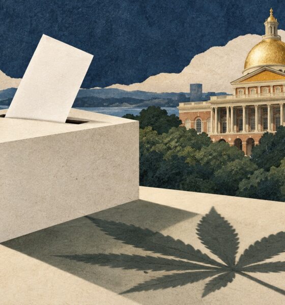 Neutral illustration of a ballot box, cannabis leaf shadow and Massachusetts State House motif.