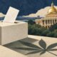 Neutral illustration of a ballot box, cannabis leaf shadow and Massachusetts State House motif.