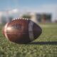 Brown Wilson football resting on green grass