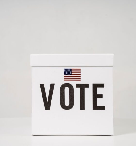White ballot box marked Vote with an American flag design