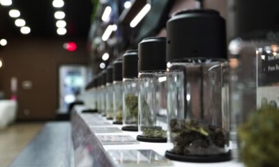 Glass jars of dried cannabis flower arranged on a retail counter