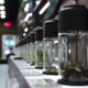 Glass jars of dried cannabis flower arranged on a retail counter
