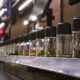 Glass display jars containing cannabis flower in a retail setting