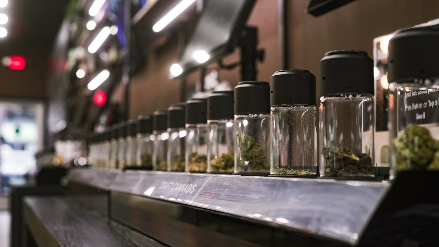 Glass display jars containing cannabis flower in a retail setting