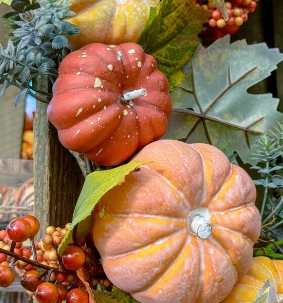 Orange pumpkins and colorful autumn leaves in a seasonal display