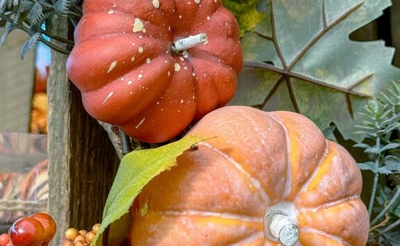 Orange pumpkins and colorful autumn leaves in a seasonal display
