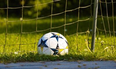 Soccer ball resting on grass beside a goal net