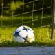 Soccer ball resting on grass beside a goal net