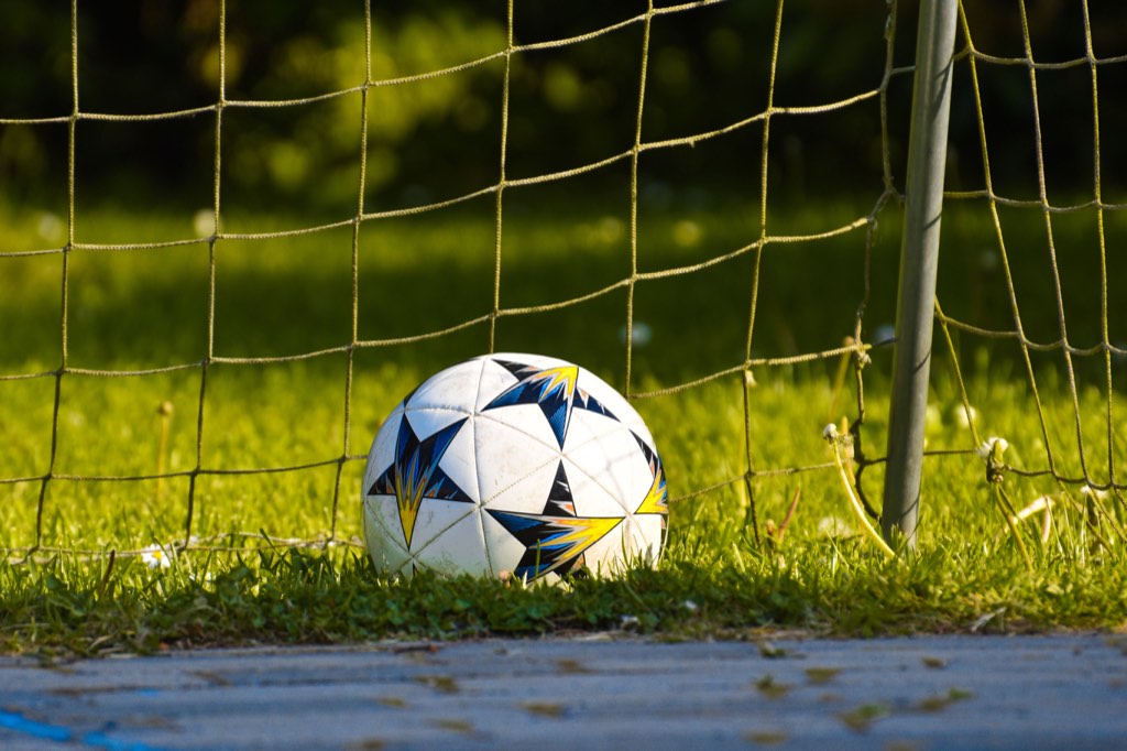 Soccer ball resting on grass beside a goal net